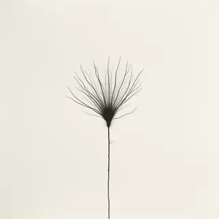 David Beckham Tattoo Meanings: A Minimalist Perspective